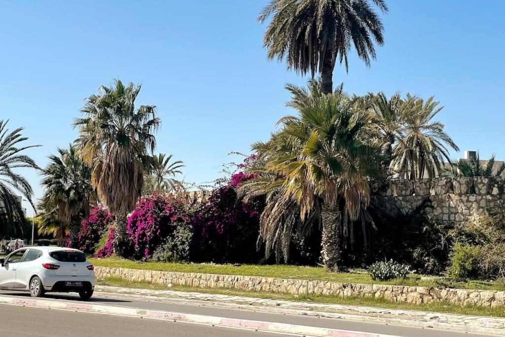Bord De Palais Presidentiel * Monastir