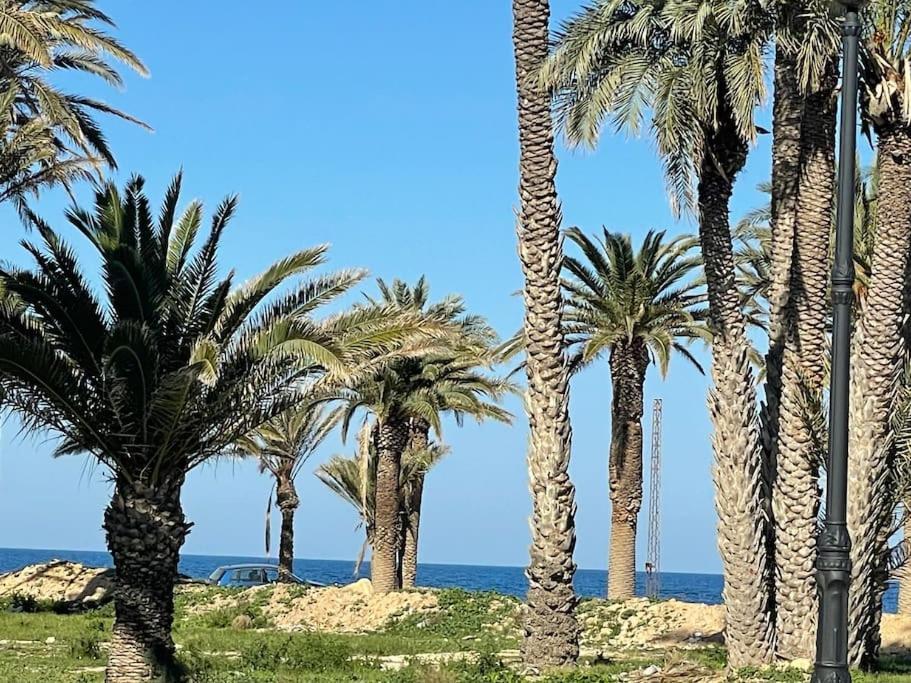 Bord De Palais Presidentiel Monastir