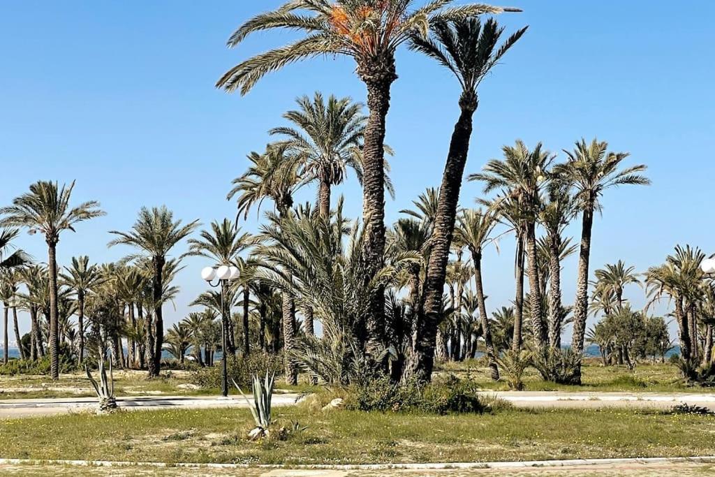 Apartmán Bord De Palais Presidentiel Monastir